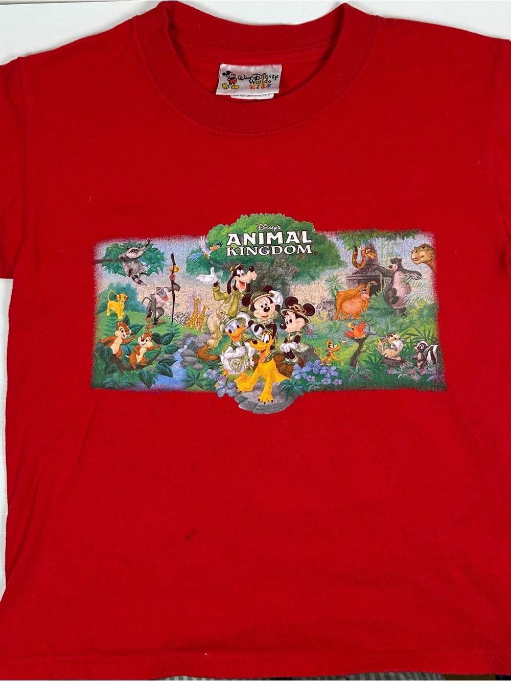 Rare Vintage 90s WALT DISNEY WORLD Animal Kingdom Mickey & Friends Kids T Shirt